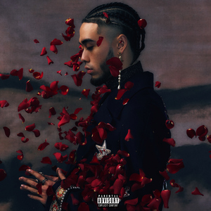 大香焦在线视频观看
