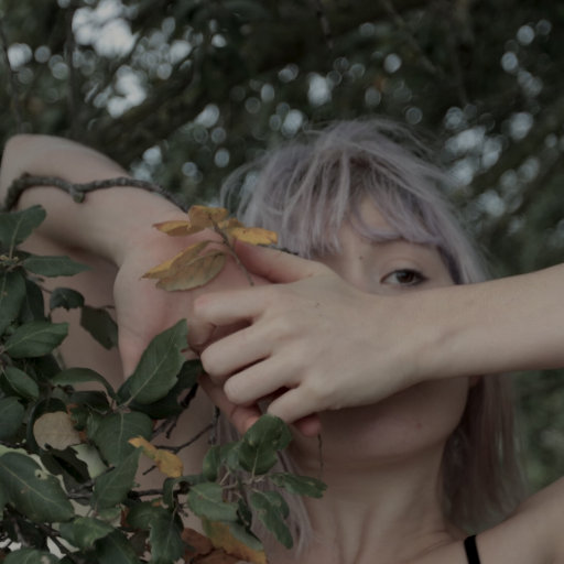 大香焦在线视频观看
